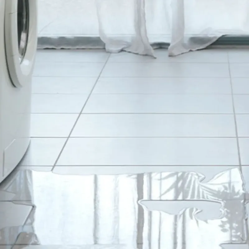 Appliance Leak Cleanup in Horseshoe Bend, AR