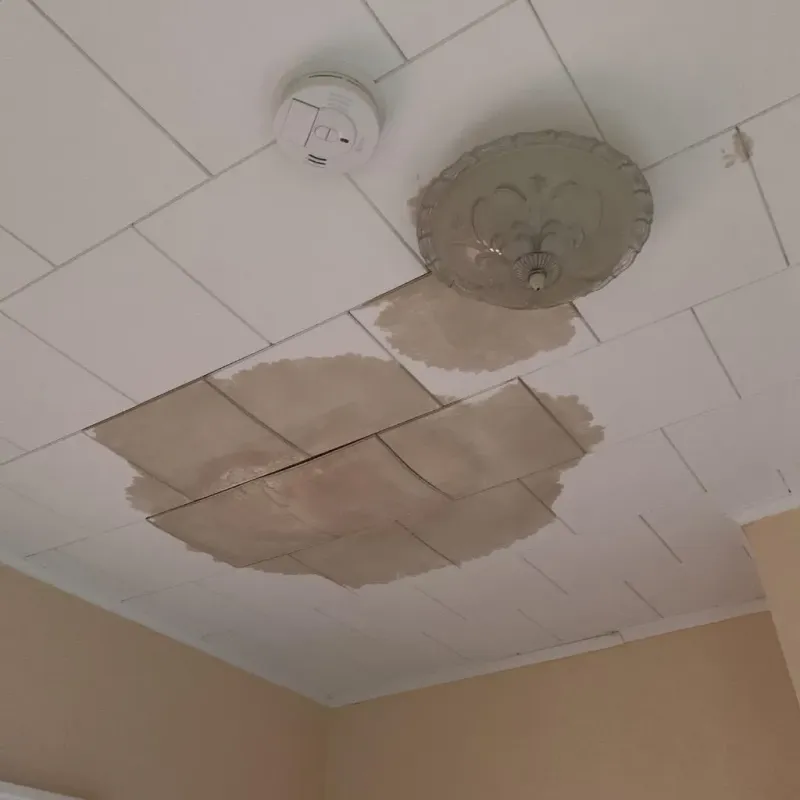 Ceiling Water Damage Repair in Horseshoe Bend, AR