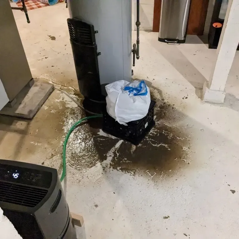 Sewage Backup Cleanup Service in Horseshoe Bend, AR